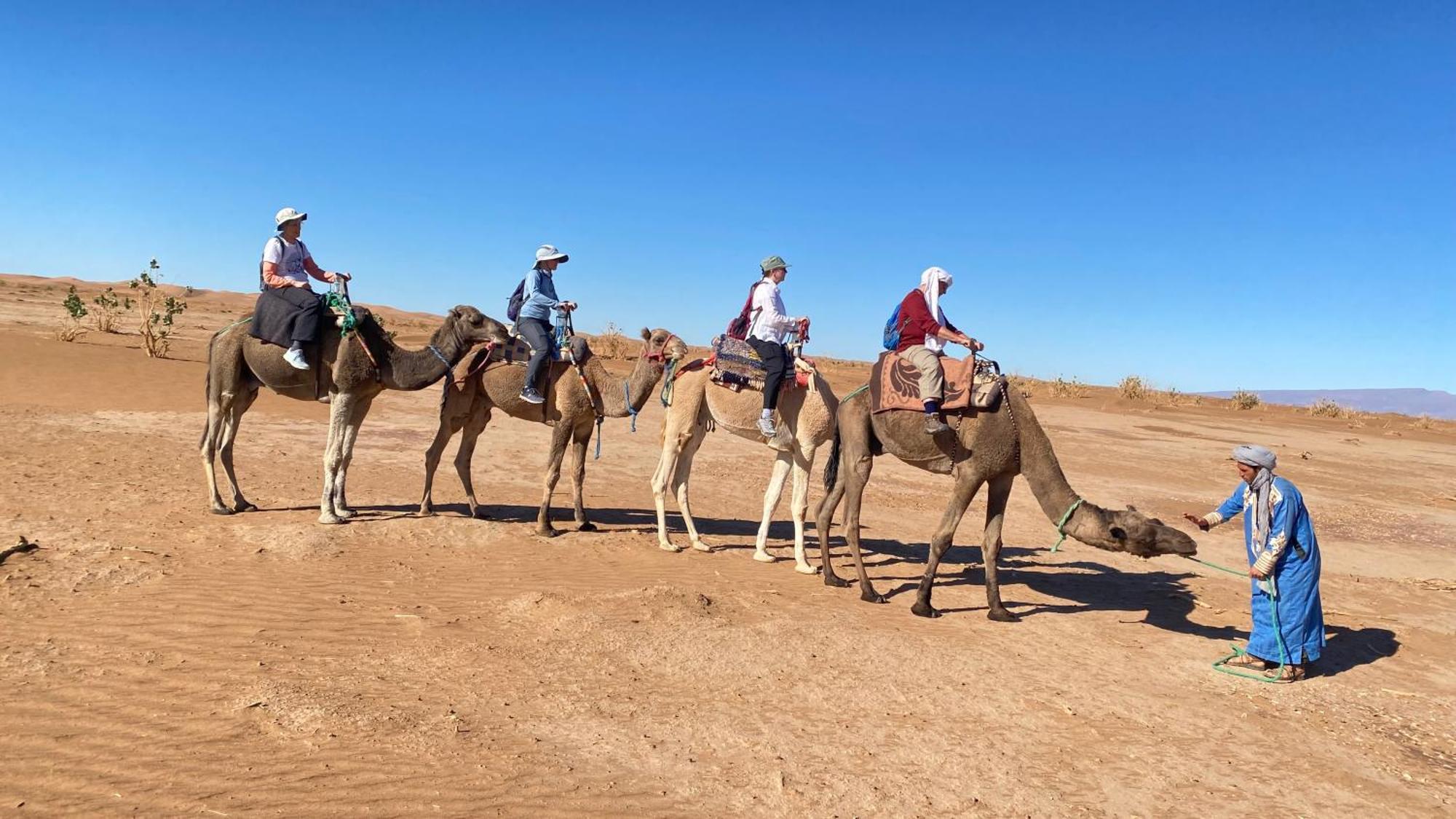 Atta Desert Camp El Gouera Ngoại thất bức ảnh