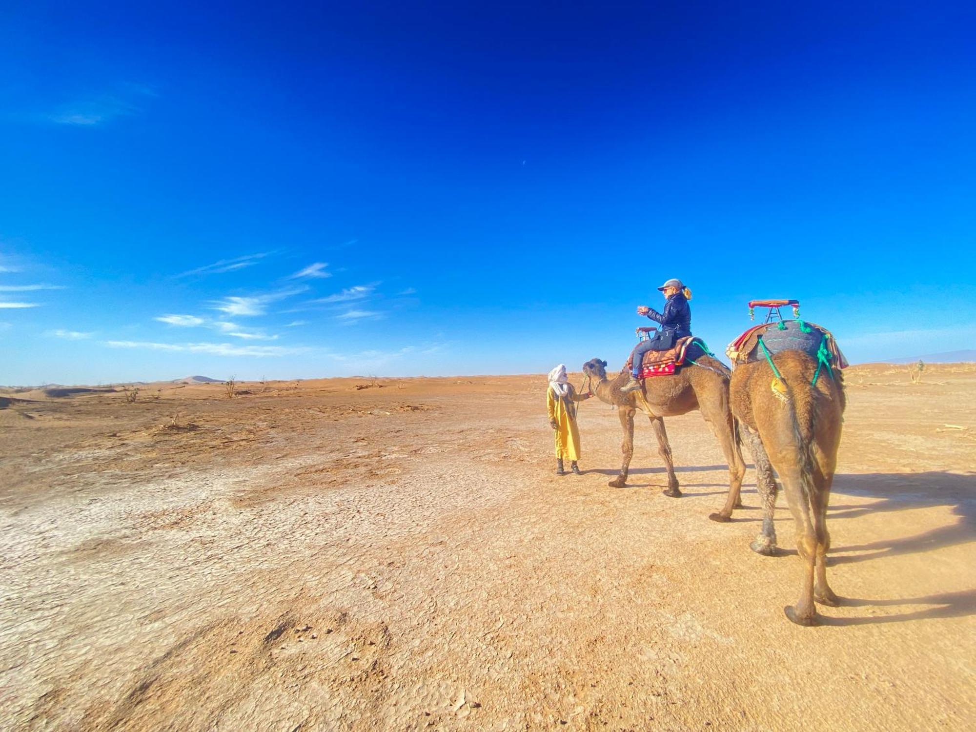 Atta Desert Camp El Gouera Ngoại thất bức ảnh