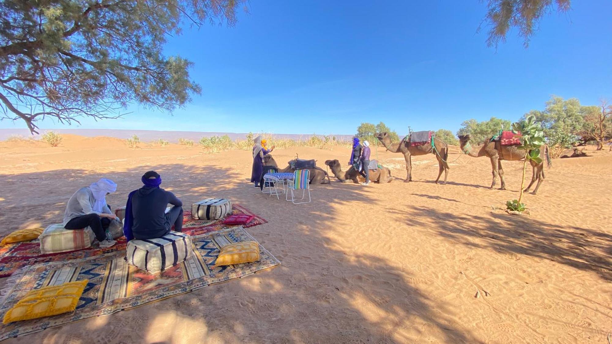 Atta Desert Camp El Gouera Ngoại thất bức ảnh