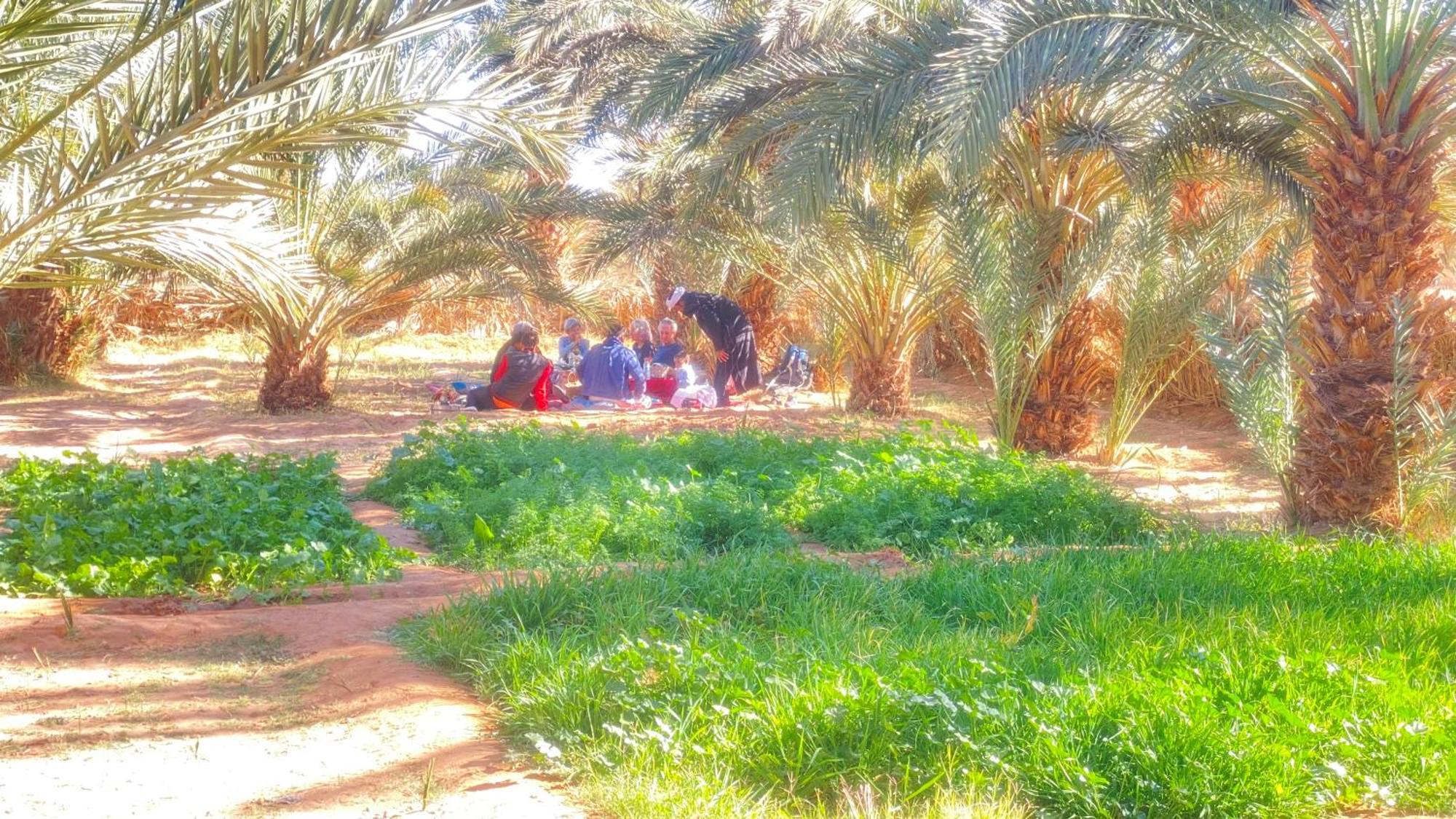 Atta Desert Camp El Gouera Ngoại thất bức ảnh
