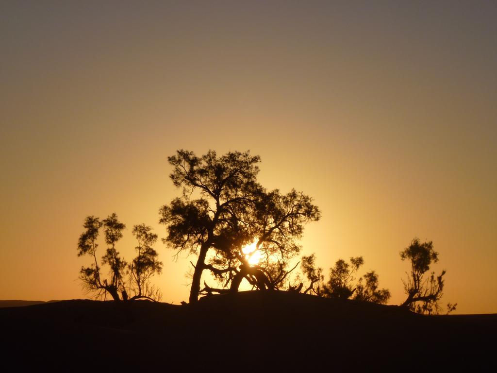 Atta Desert Camp El Gouera Ngoại thất bức ảnh