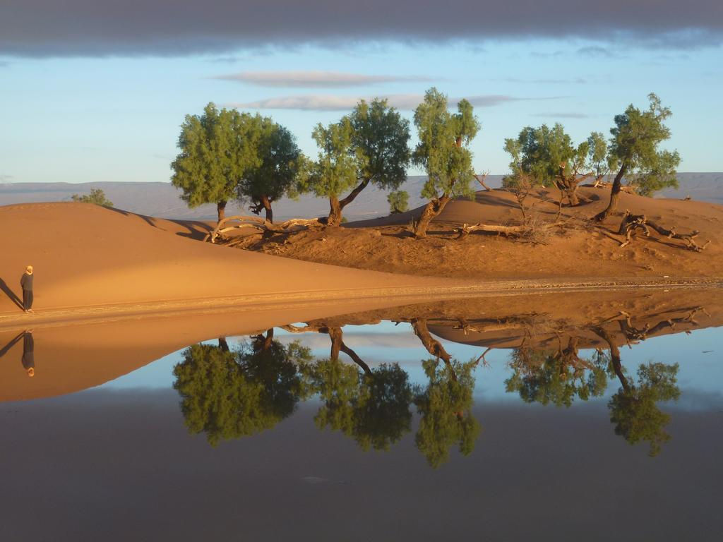 Atta Desert Camp El Gouera Ngoại thất bức ảnh