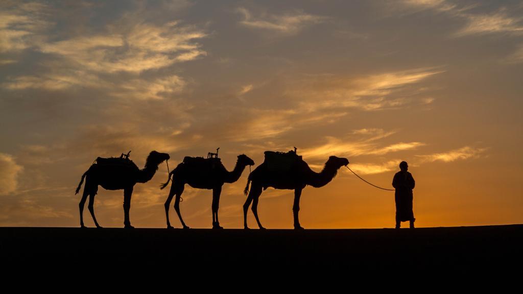 Atta Desert Camp El Gouera Ngoại thất bức ảnh